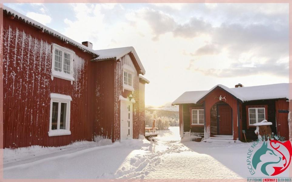 Апартаменты Escapade Norvegienne Tolga Экстерьер фото