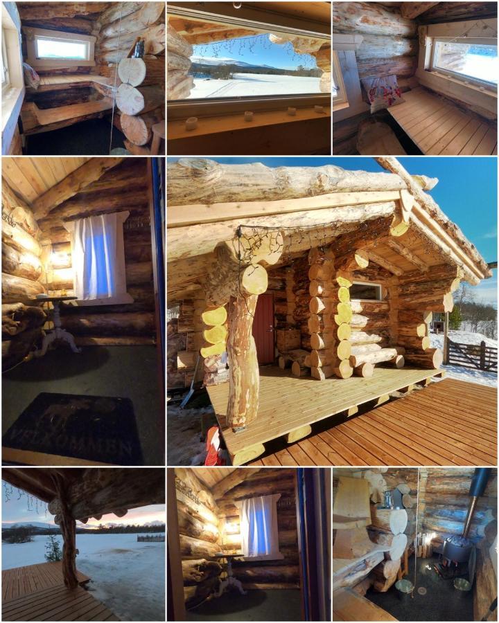 Апартаменты Escapade Norvegienne Tolga Экстерьер фото