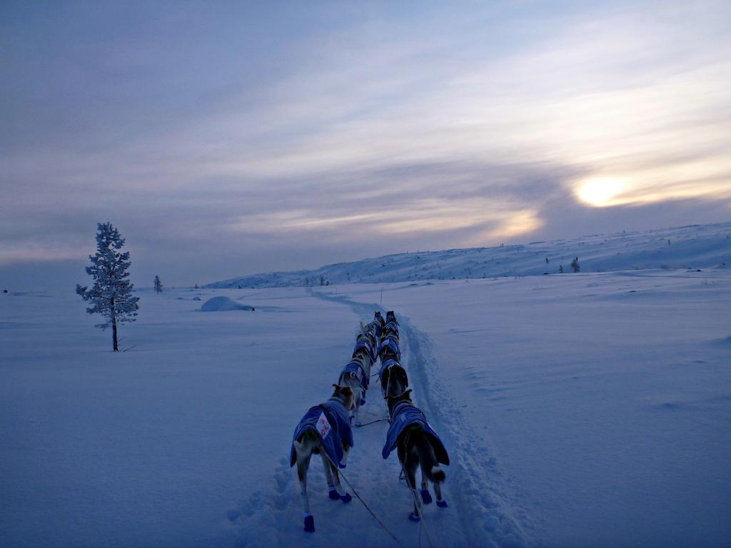 Апартаменты Escapade Norvegienne Tolga Экстерьер фото